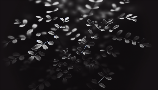 プチグレンの香りの効果——ストレス・不眠・自律神経への作用